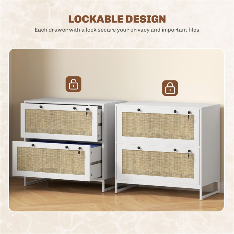 Multi-Purpose File Cabinet and Storage Cabinet for Home or Office