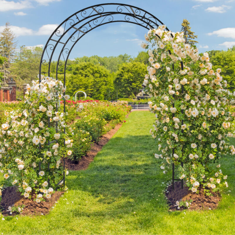 Iron Art Double Layer Arch, Arc Top Iron Arch for Garden, Patio, or Event Decor