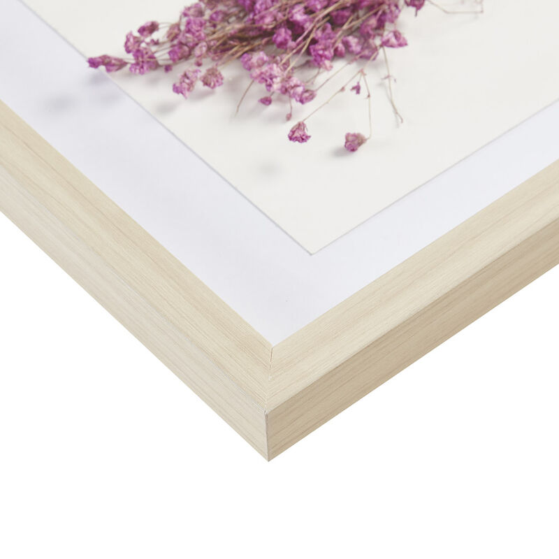 Streamdale Avant Garden Dried Flower 2-Piece Shadow Box Wall Decor Set
