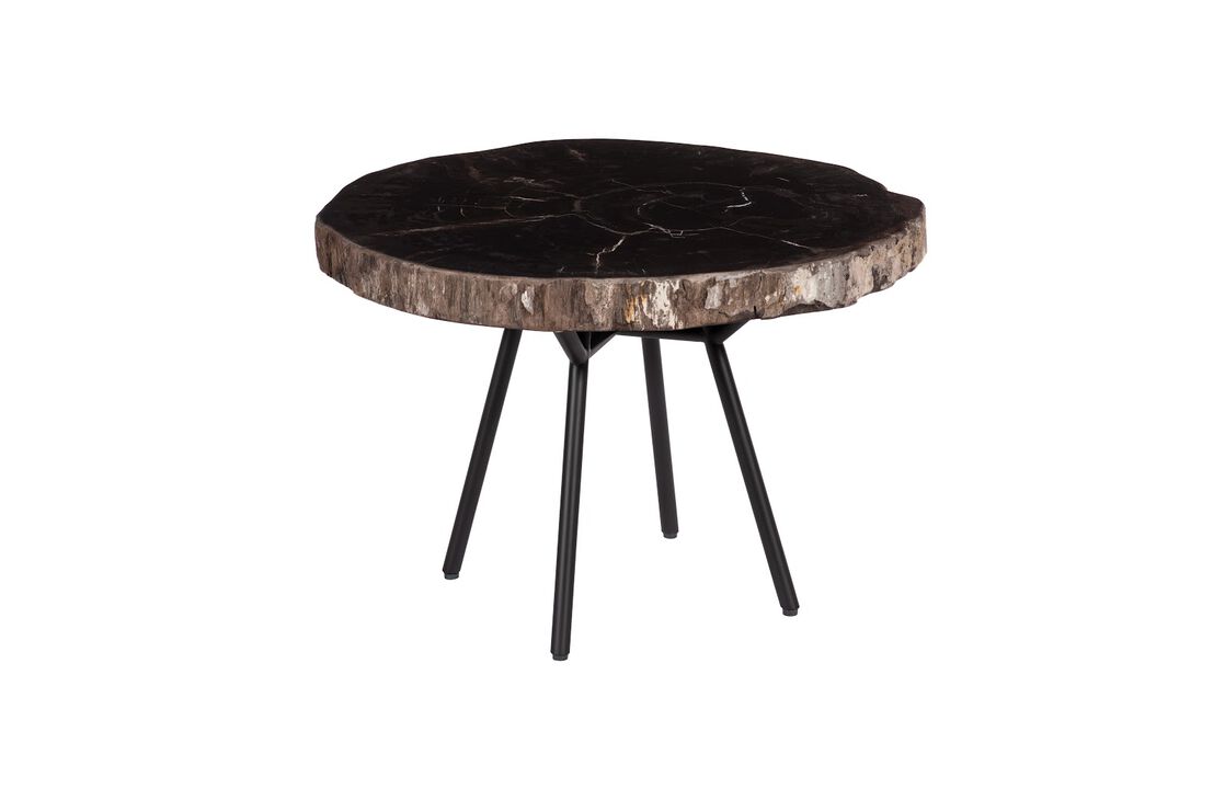 Petrified Coffee Table