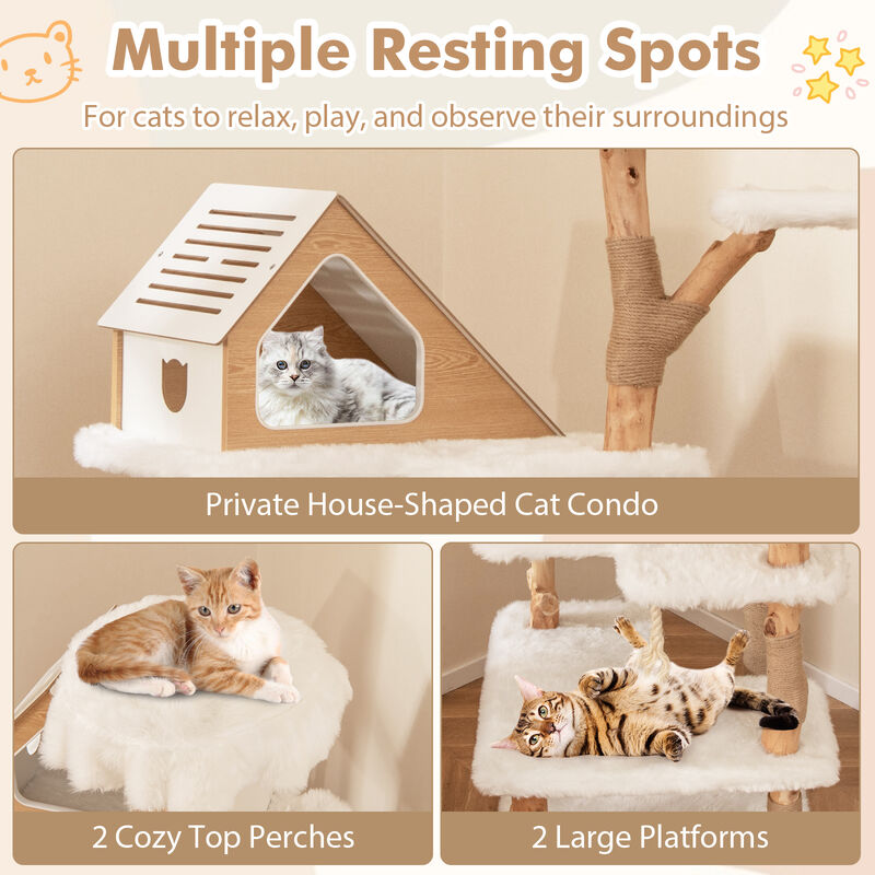 60-Inch Tall Solid Wood Cat Tree, Modern Wooden Cat Tower with 2 Perches for Cats
