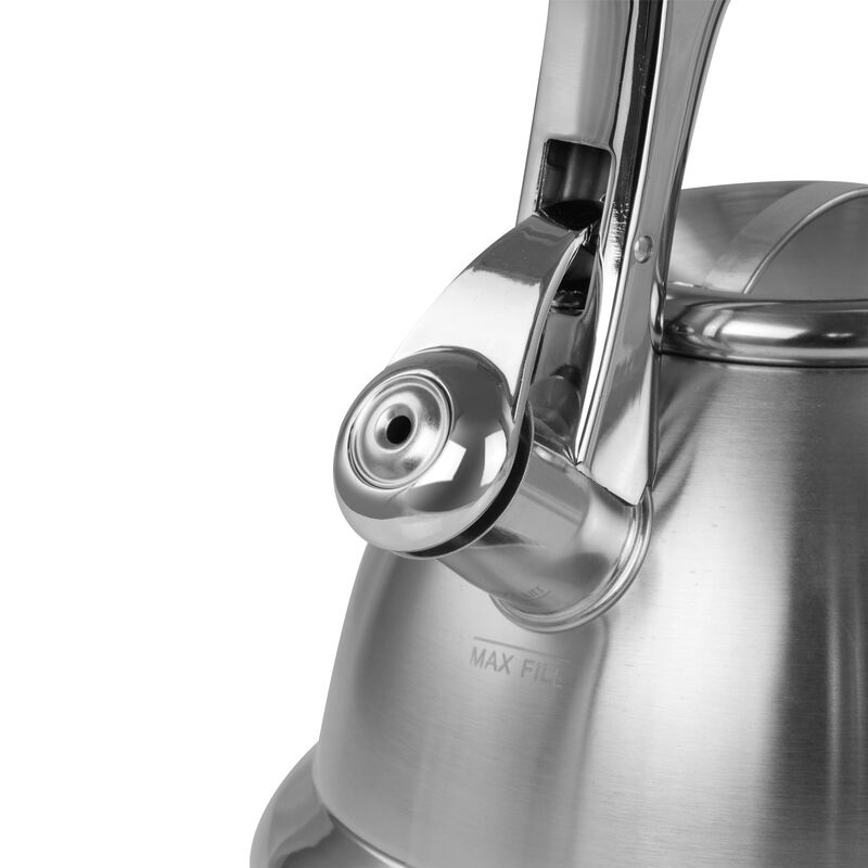Mr. Coffee 1.8 quart Stainless Steel Whistling Tea Kettle