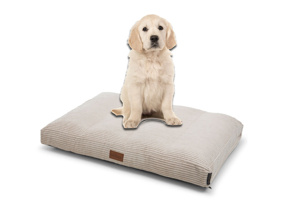 Teddy Dog Ergonomic Mattress - Large, Beige Luxurious Removable Fabric