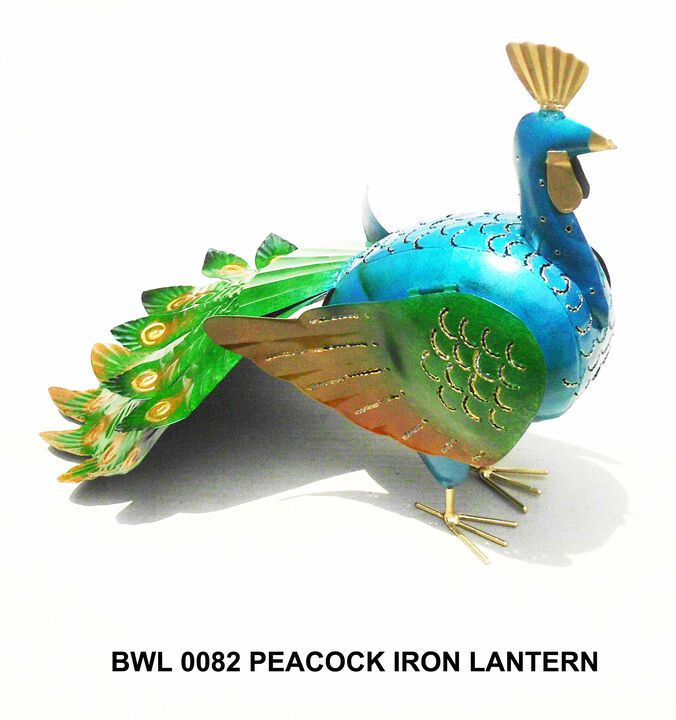 Peacock Iron Lantern