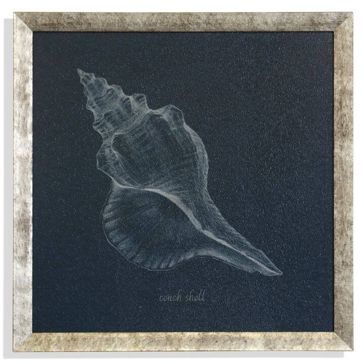 Shell Study