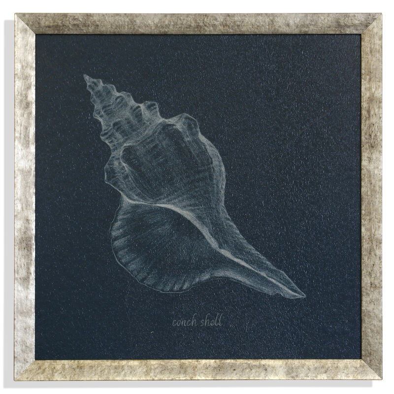 Shell Study
