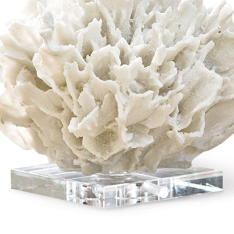 Ribbon Coral