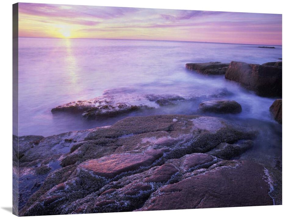 Atlantic coast near Thunder Hole, Acadia National Park, Maine-Canvas Art-40x30