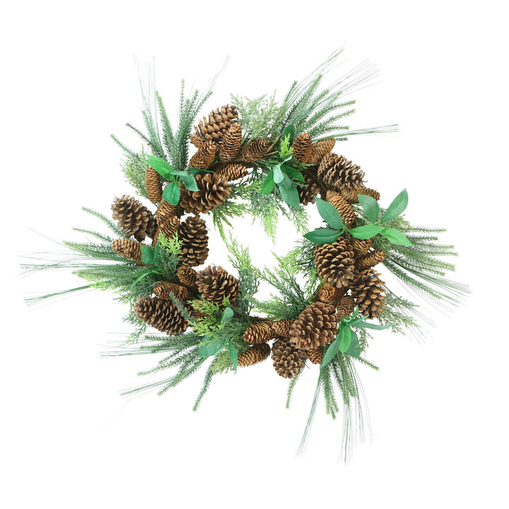 Green Foilage with Mixed Pinecones Artificial Christmas Wreath - 24-Inch  Unlit