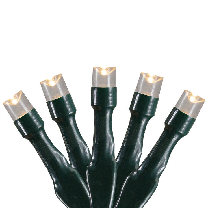 20 Battery Operated Warm White LED Wide Angle Christmas Lights - 9.5 ft Green Wire