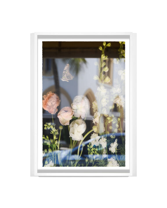 Palm Beach. Morgenthal Fredericks Window Reflection