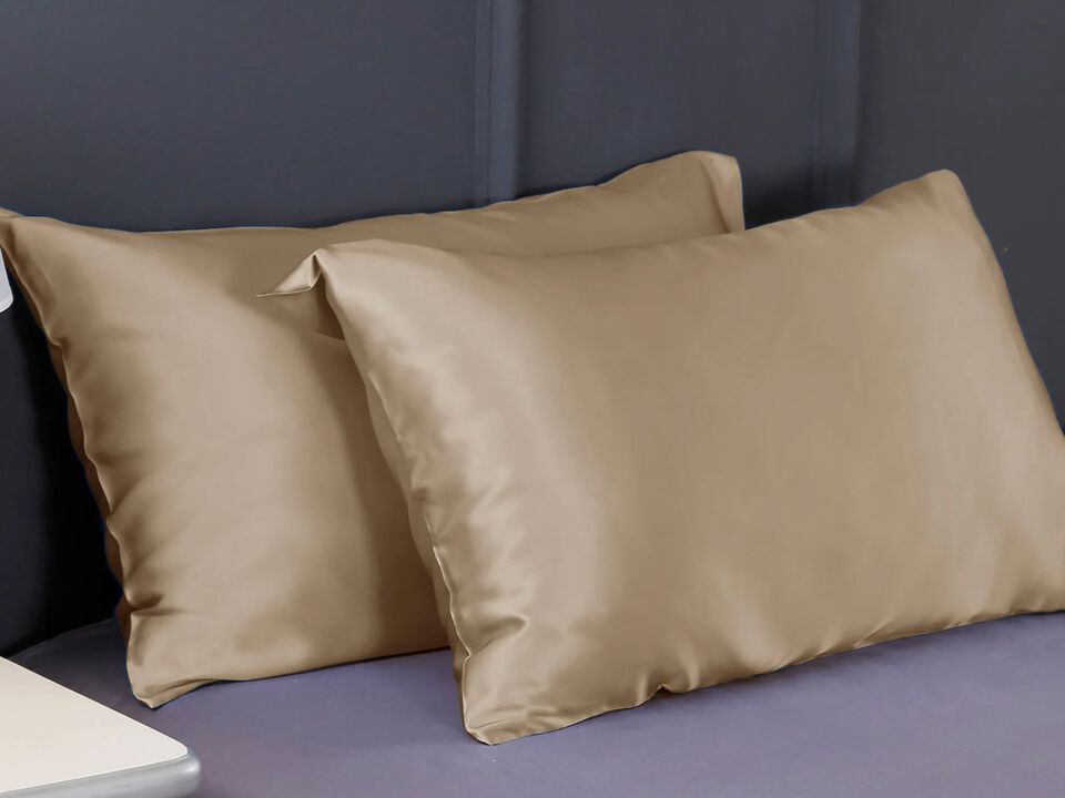 LilySilk 100% 19 Momme Pure Silk Pillowcase