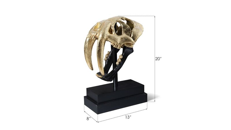 Saber Tooth Tiger Skull