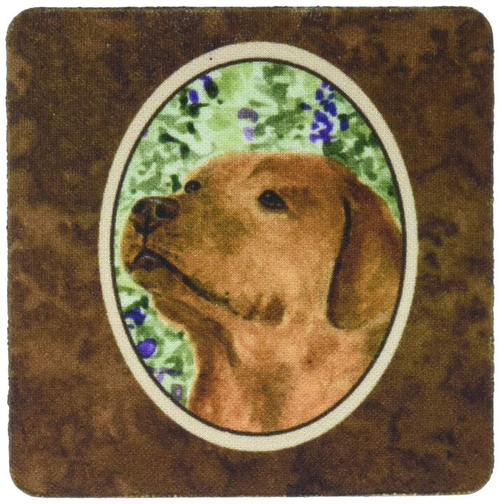 Caroline's Treasures SS8743FC Labrador Foam Coasters (Set of 4), 3.5 H x 3.5 W, Multicolor