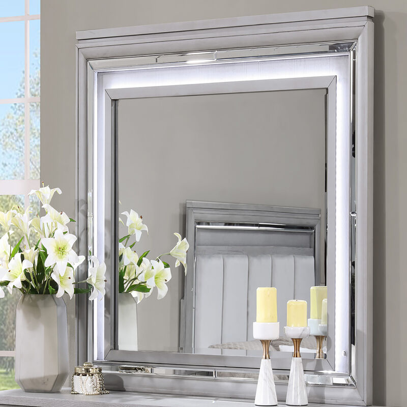 Padua 49 in. W x 40 in. H Rectangle Framed Washed Gray Dresser Mirror