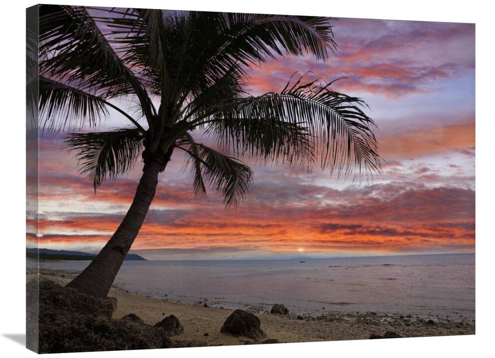 Coconut Palm at sunset near Dimiao, Bohol Island, Philippines-Canvas Art-32x24