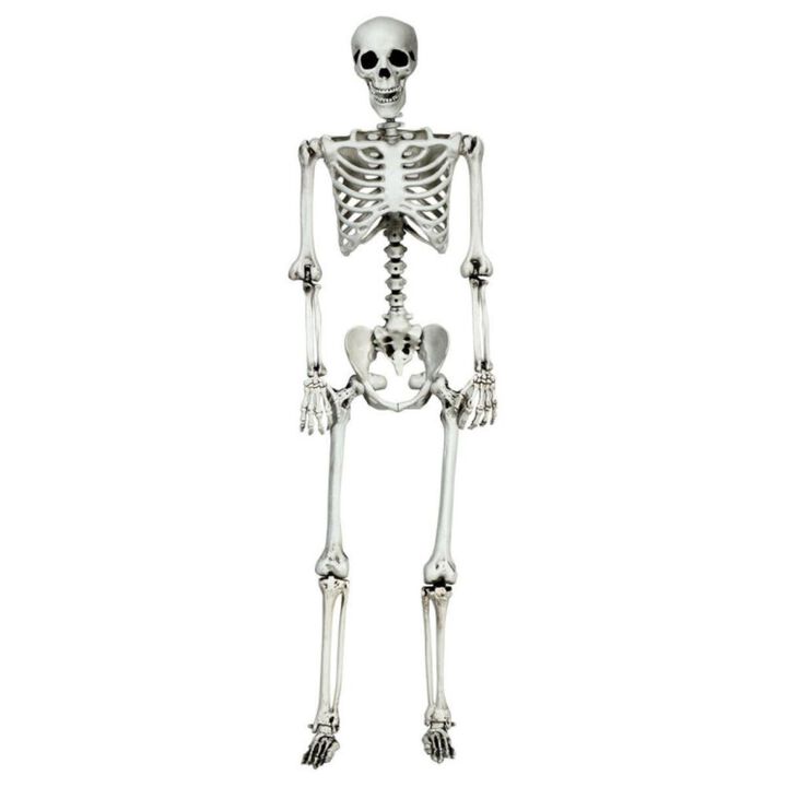 Hivvago 5.4 Feet Halloween Skeleton Life Size Realistic Full Body Hanging