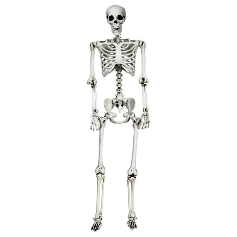 Hivvago 5.4 Feet Halloween Skeleton Life Size Realistic Full Body Hanging