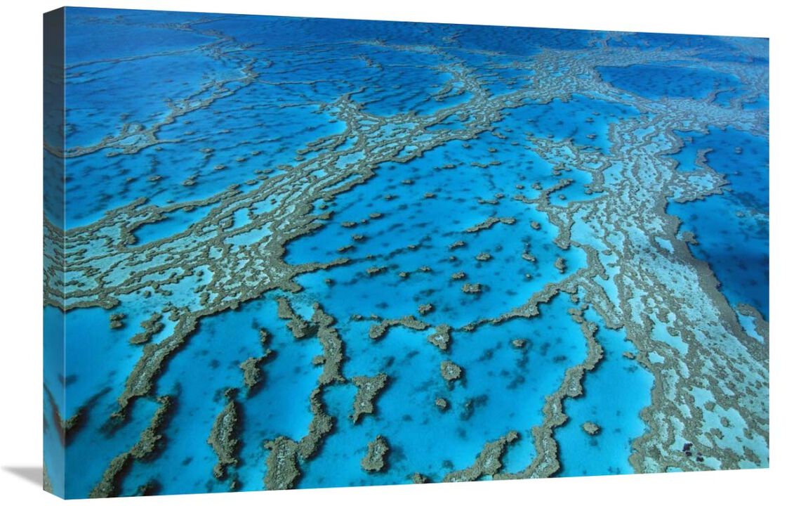 Aerial view of coral formations in Hardy Reef, Great Barrier Reef, Queensland, Australia-Canvas Art-30x20