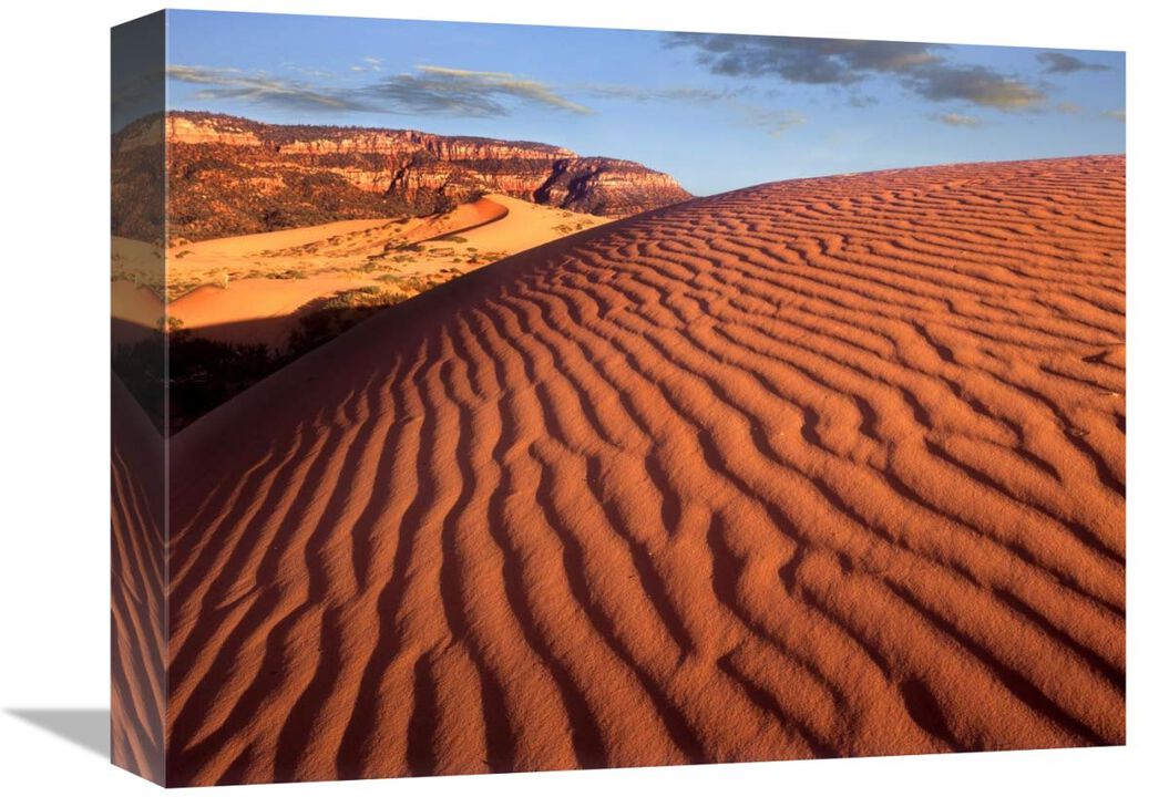 Sand dunes, Coral Pink Sand Dunes State Park, Utah-Canvas Art-16x12
