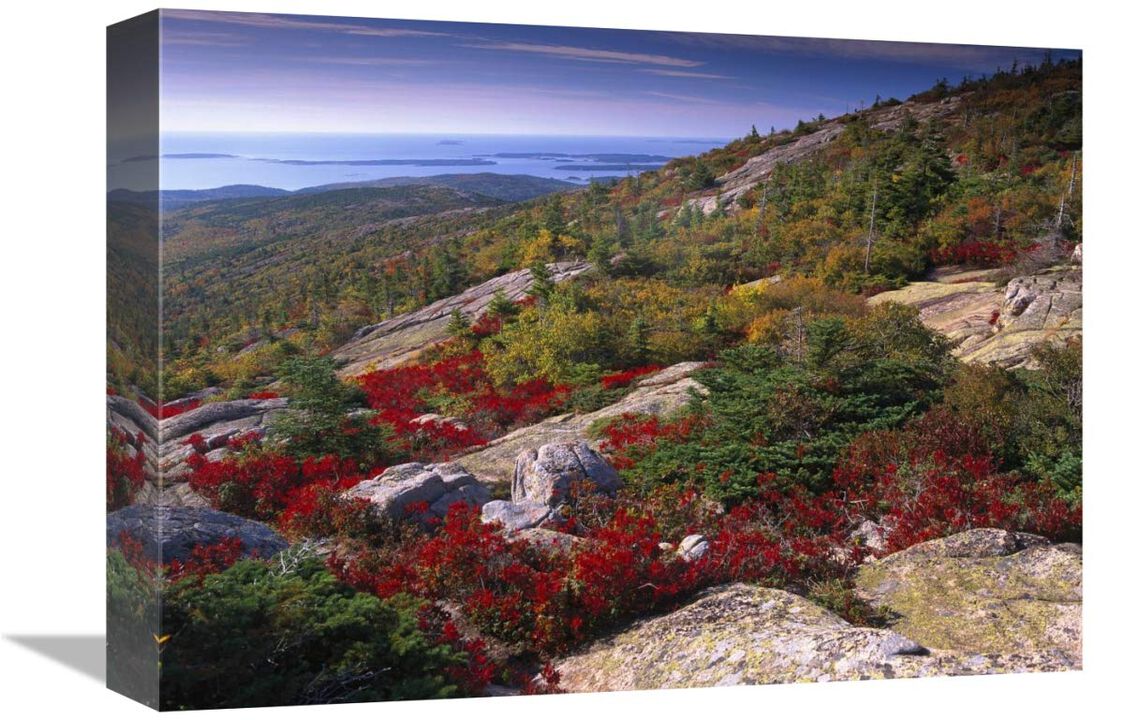 Atlantic coast from Cadillac Mountain, Acadia National Park, Maine-Canvas Art-16x12
