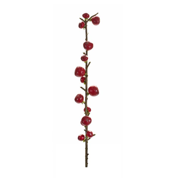 Berry Twig Stem for Rustic and Seasonal Home Décor (Set of 6)
