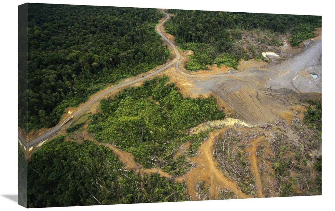 Logging erosion in lowland tropical rainforest across the broad flood plain of Aird River, Kikori Basin, Papua New Guinea-Canvas Art-30x20