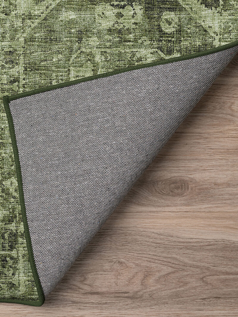 Aberdeen AB2 Cactus 2'3" x 7'6" Rug