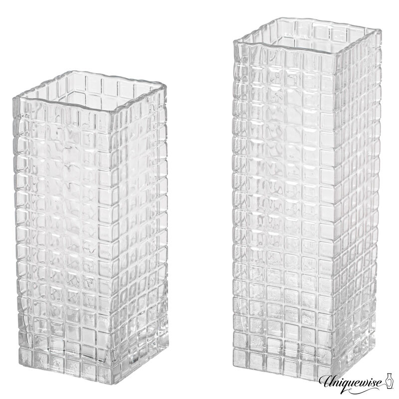 Set of 2 Square Frosted Clear Glass Vase