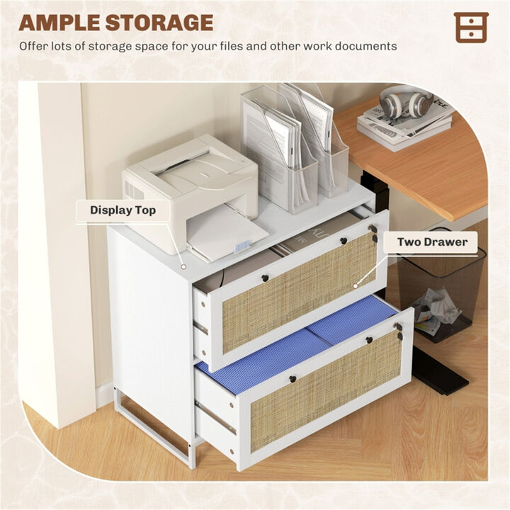 Multi-Purpose File Cabinet and Storage Cabinet for Home or Office