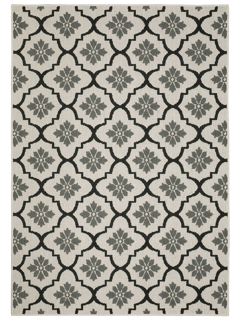 Torrey 5562E Collection