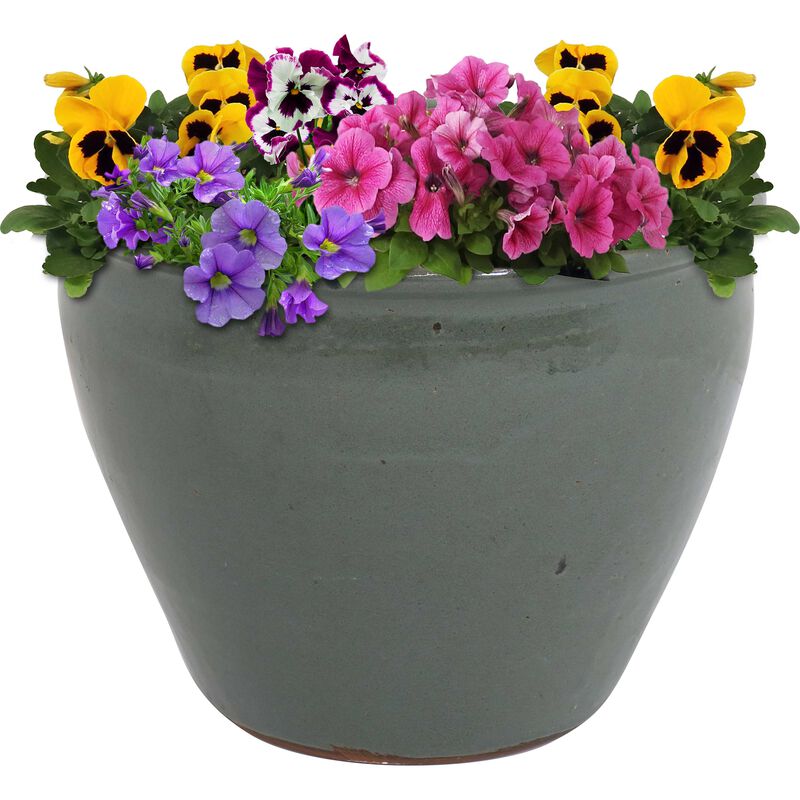 Sunnydaze 15 in Chalet High-Fired Glazed Ceramic Planter