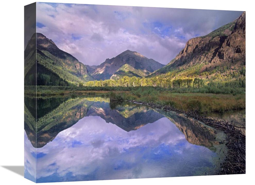 Handies Peak reflected in beaver pond, Maroon Bells-Snowmass Wilderness Area, Colorado-Canvas Art-16x13.28