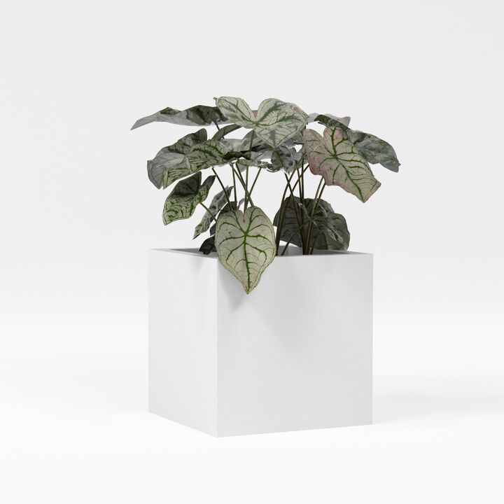 Greenline Fiberglass Jack Medium Indoor/Outdoor Square Cube Planter - 16 in x 16 in x 16 in