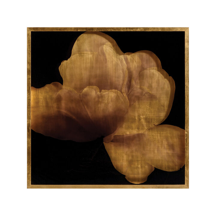Mark McDowell's Kin Saki