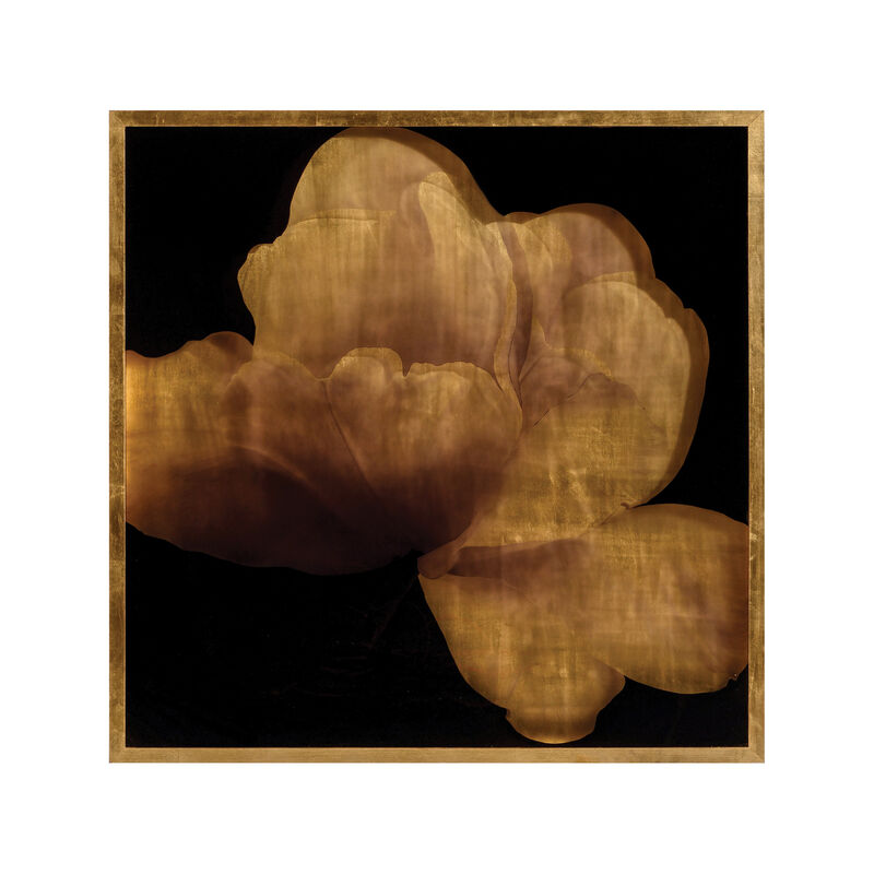 Mark McDowell's Kin Saki