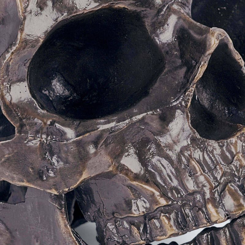 Metal Skull