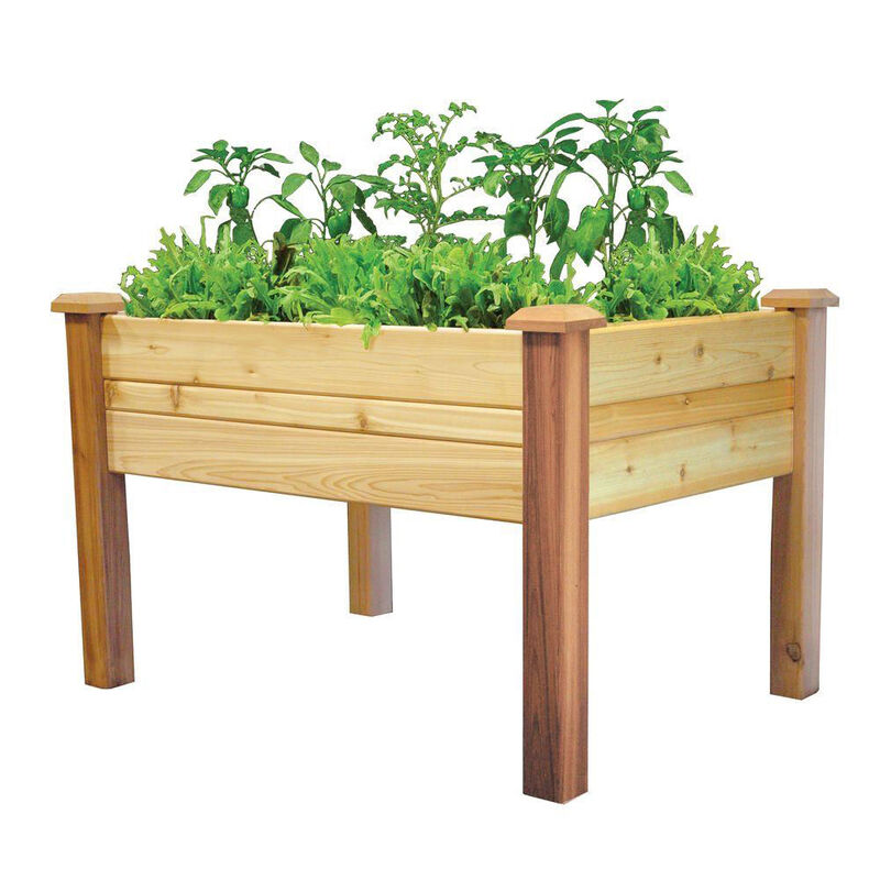 Durable Cedar Wood Raised Garden Bed Planter Box – Perfect for Vegetables and Flowers