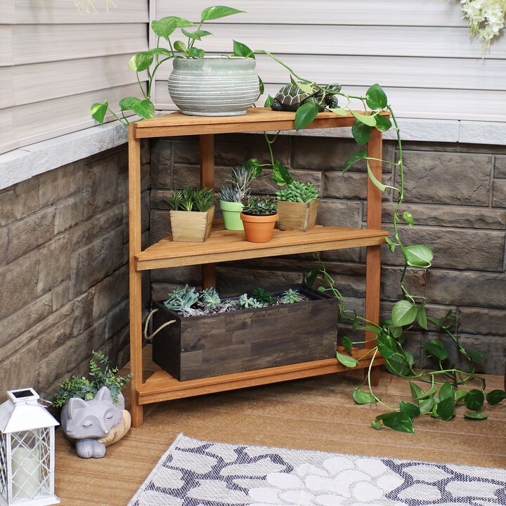Sunnydaze Meranti Wood/Teak Oil Finish 3-Tier Corner Plant Stand - 36 in