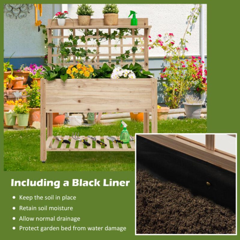 Hivvago Wooden Raised Garden Bed with Wheels Trellis and Storage Shelf
