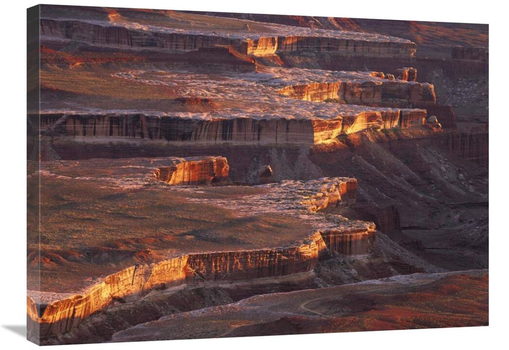 View from Grandview Point over Monument Basin, Island in the Sky, Canyonlands National Park, Utah-Canvas Art-32x24