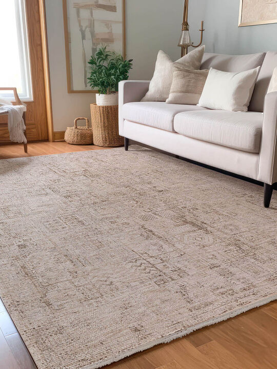 Vienna VI2 Ivory 20" x 30" Rug