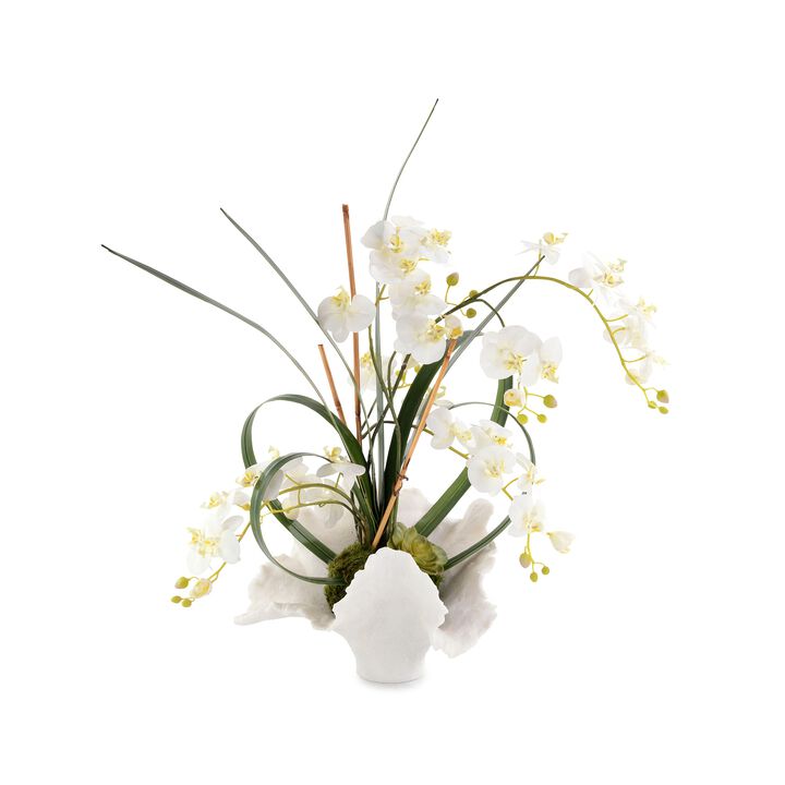 White Orchids