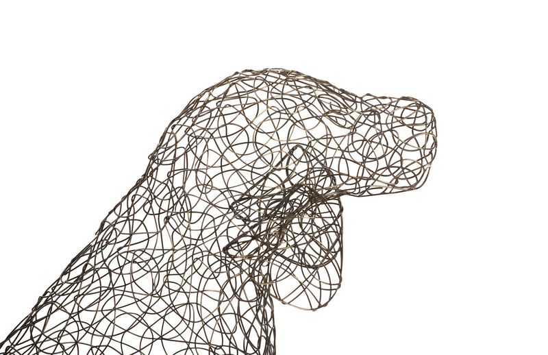 Crazy Wire Beagle