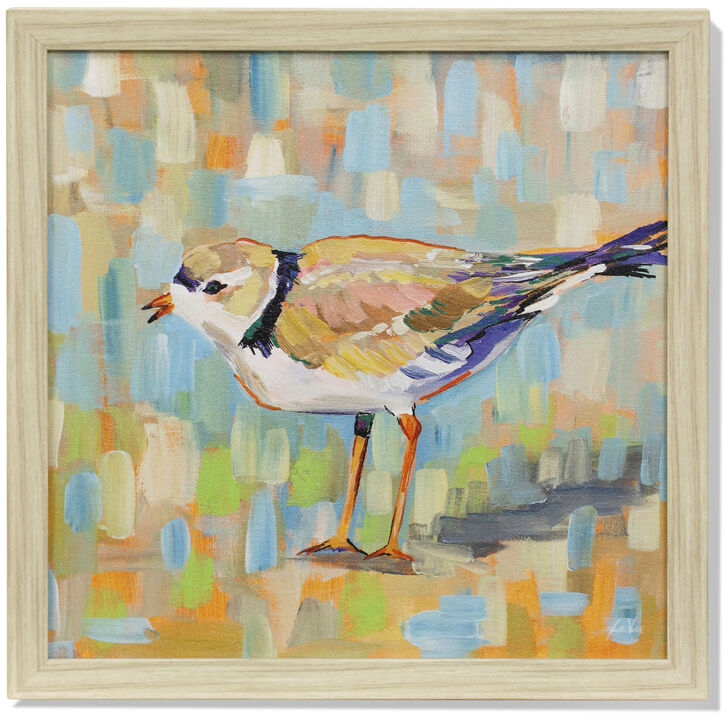 Coastal Plover IV Framed Print