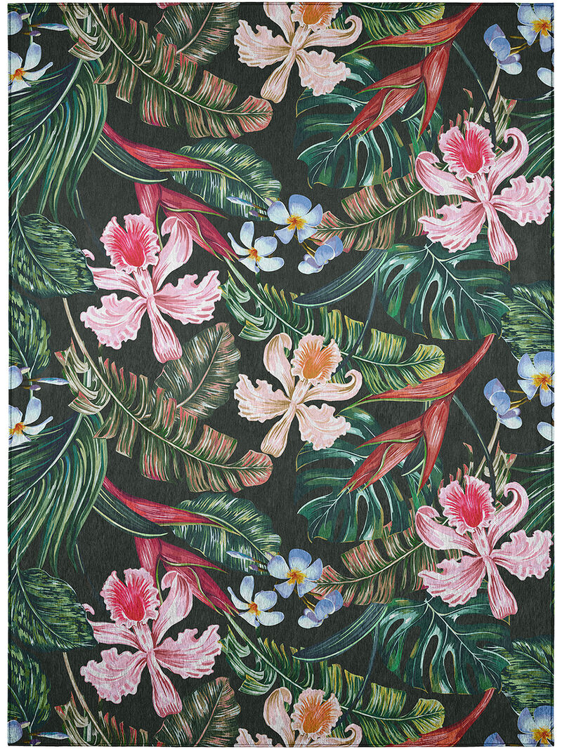 Tropics TC6 Black 3' x 5' Rug