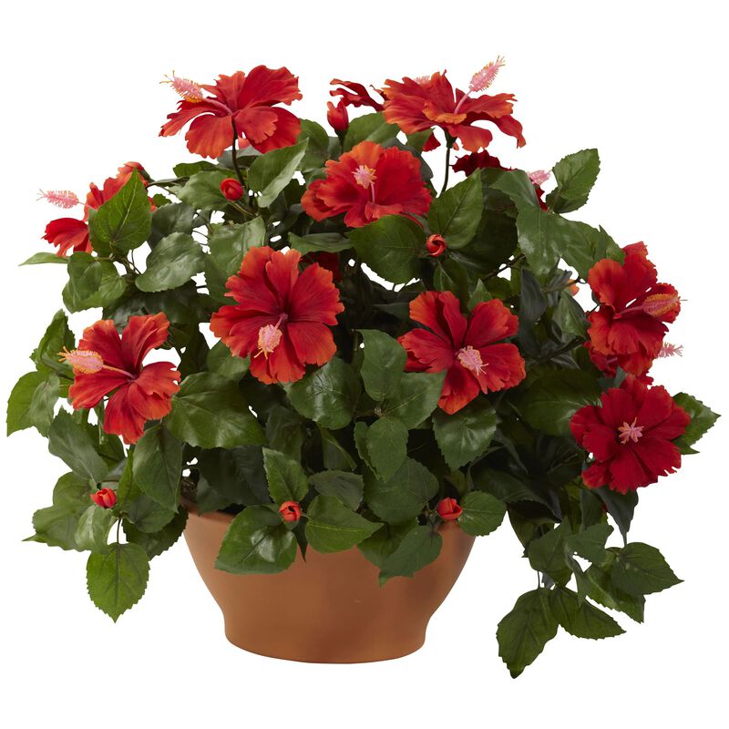 Hivvago Hibiscus w/Clay Planter