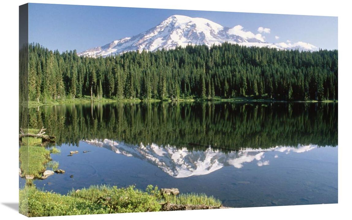 Mt Rainier reflected in lake, Mt Rainier National Park, Washington-Canvas Art-30x20