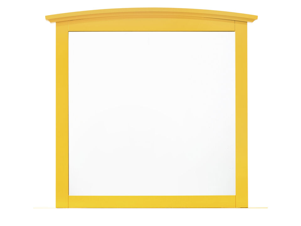 37 in. x 35 in. Classic Rectangle Framed Dresser Mirror