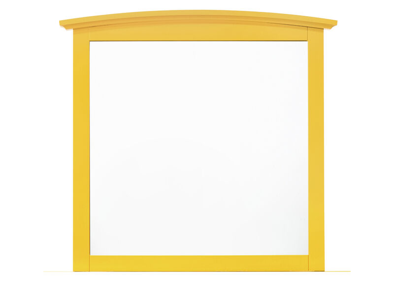 37 in. x 35 in. Classic Rectangle Framed Dresser Mirror